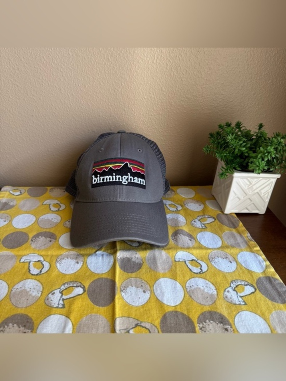 The Game Patagonia-style Birmingham gray baseball hat